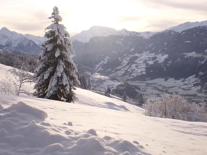 Greidlerhof Apartment *