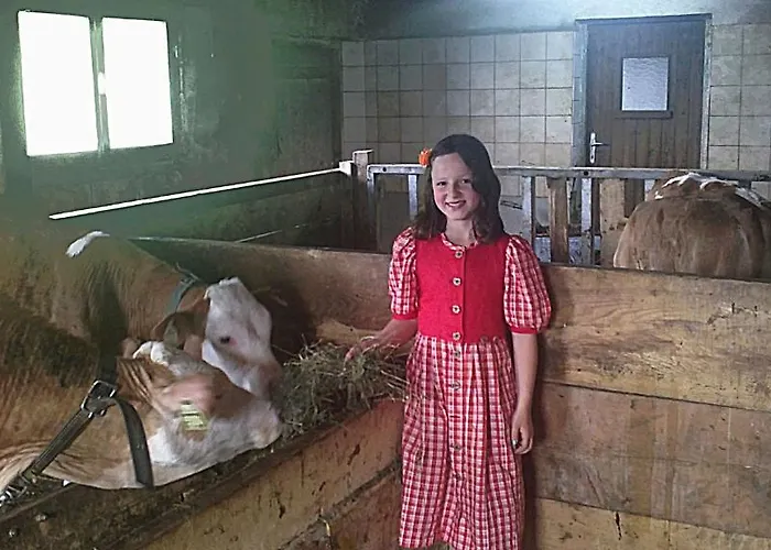 Greidlerhof Rohrberg