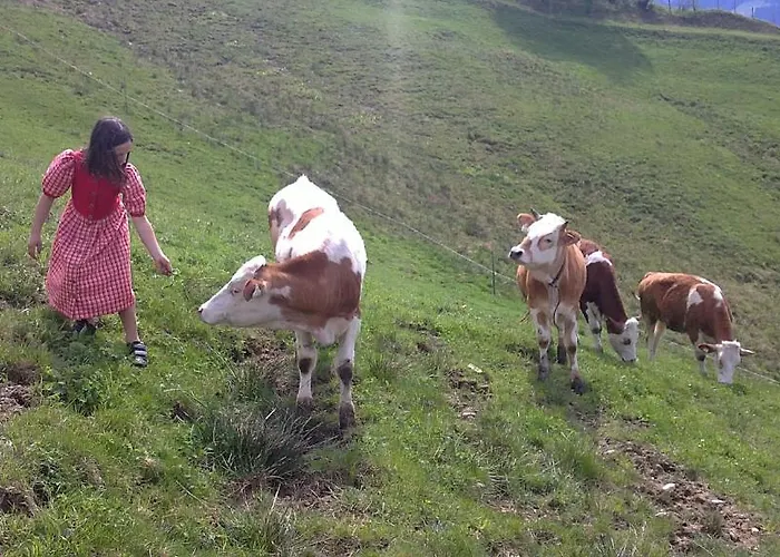 Greidlerhof Apartment *