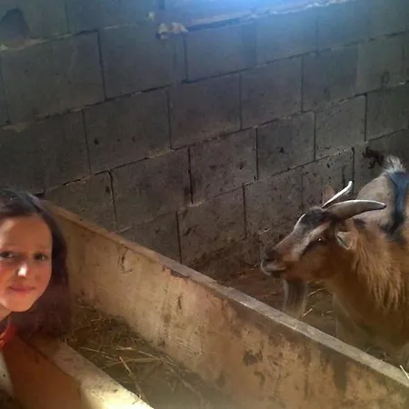 Apartament Greidlerhof *