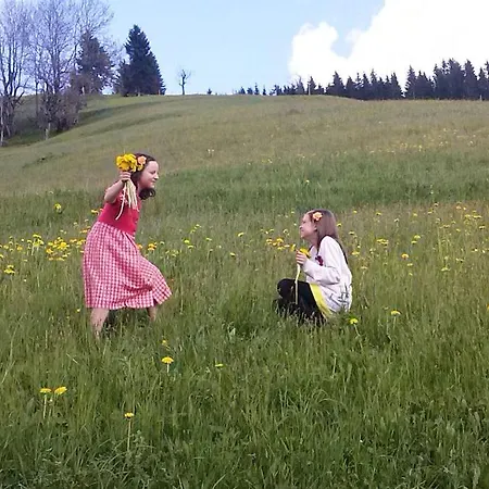 Greidlerhof * Rohrberg