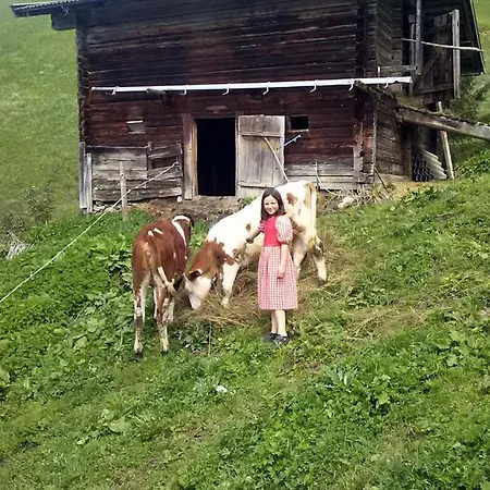 Greidlerhof Appartamento