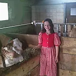 Greidlerhof روهربيرج