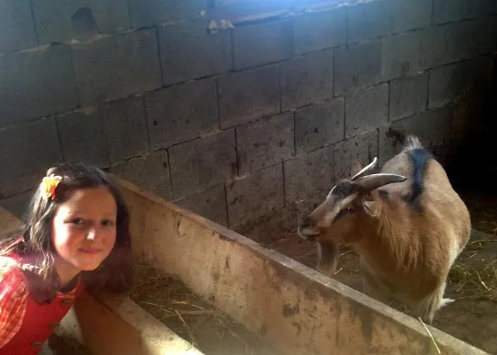 Apartamento Greidlerhof *